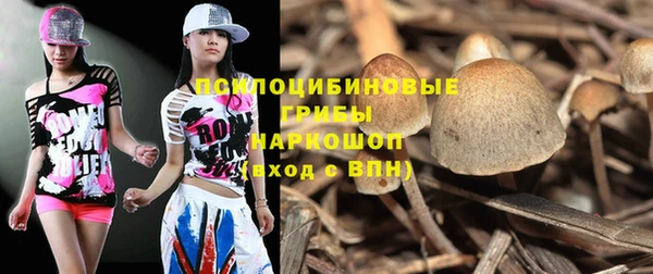 мдпв Навашино