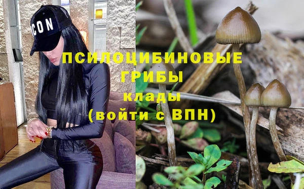стаф Медвежьегорск