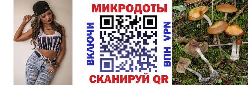блэк спрут сайт  Пудож  Псилоцибиновые грибы Psilocybe 